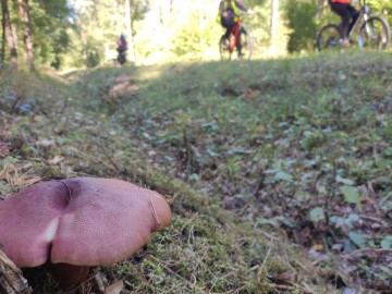 Relacja z rajdu rowerowego „Śladem Królewskich Łowów” 2025, 